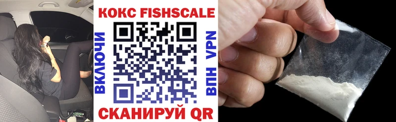 COCAIN FishScale  где найти наркотики  Тара 