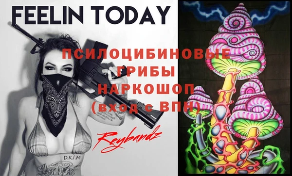 бошки Няндома