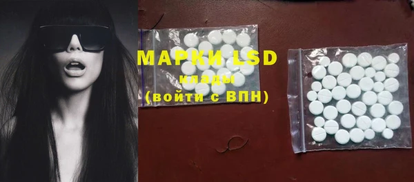 ECSTASY Новозыбков