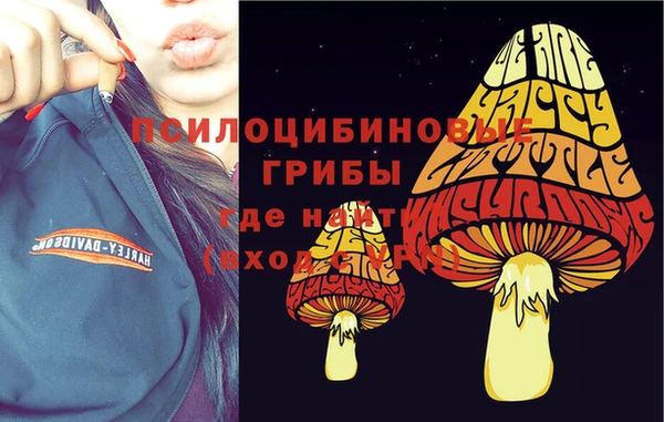 прущая мука Нязепетровск