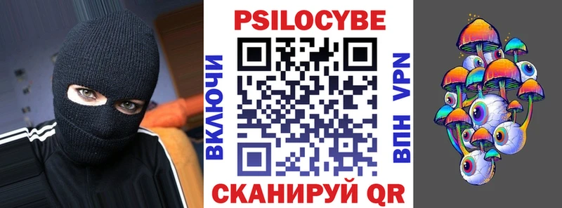 Галлюциногенные грибы Psilocybine cubensis  Тара 