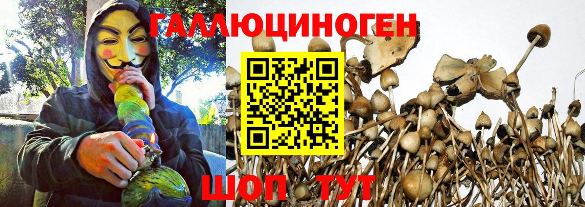 Галлюциногенные грибы Magic Shrooms  Псилоцибиновые грибы MAGIC MUSHROOMS  Вход с VPN  Тара 