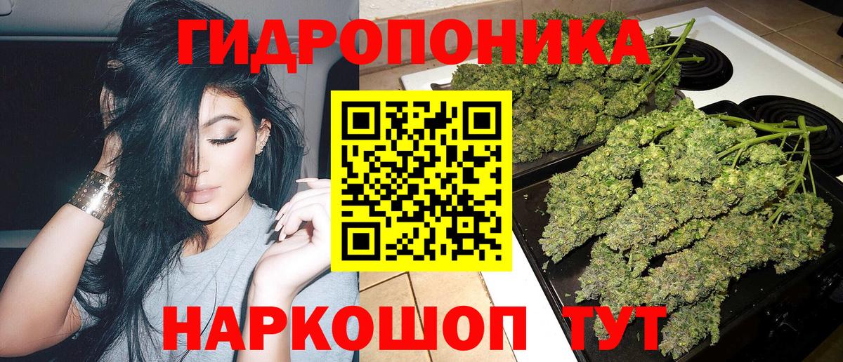 Шишки марихуана White Widow  Шишки марихуана White Widow  Тара  Бошки марихуана марихуана 